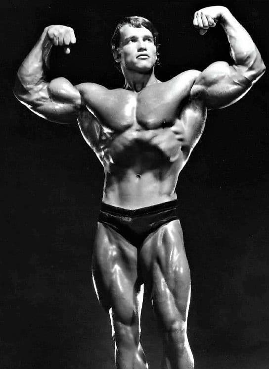 Arnold Schwarzenegger Vacuum Pose