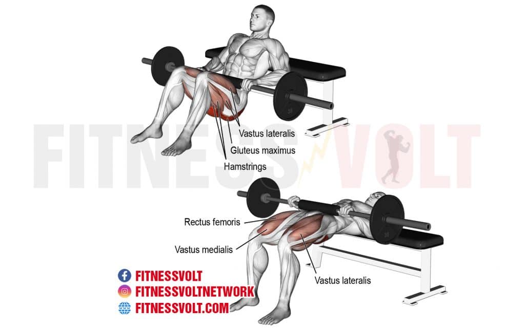 barbell hip thrust