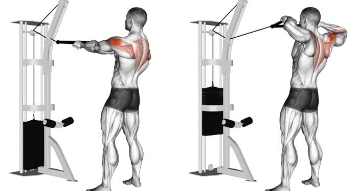 Cable Face Pulls