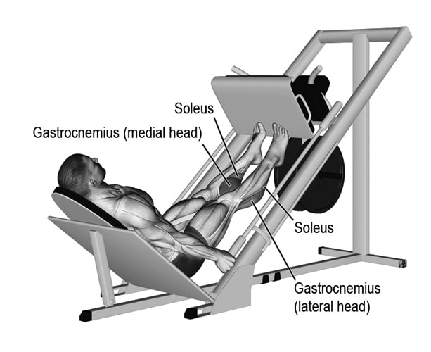 Calf Press On Leg Press