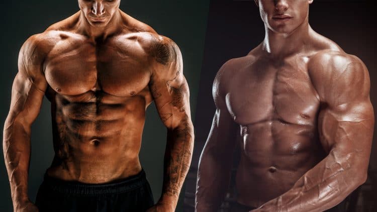 Chest And Shoulder Workout