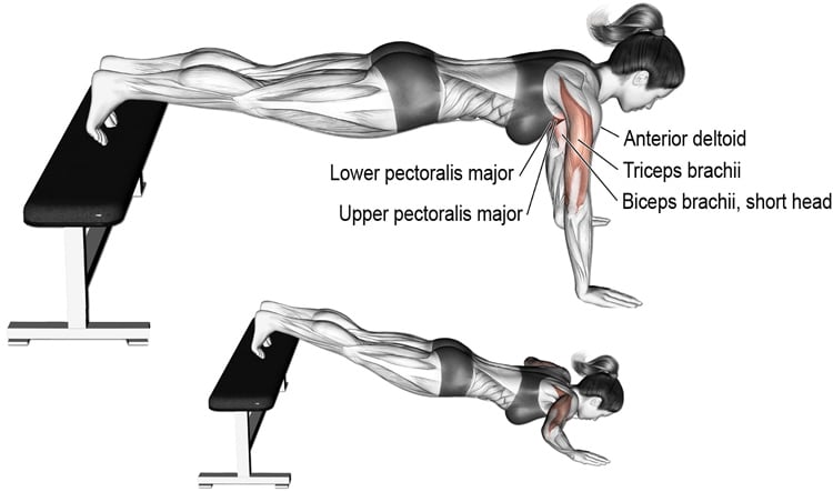 Decline Push Ups