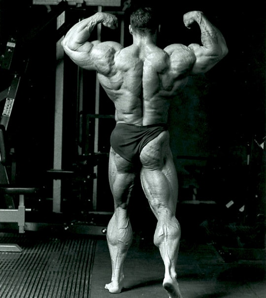 Dorian Yates Amazing Back
