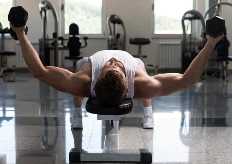 Dumbbell Fly