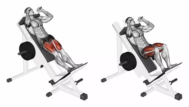 Hack Squat