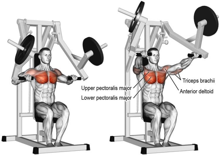 Machine Chest Press