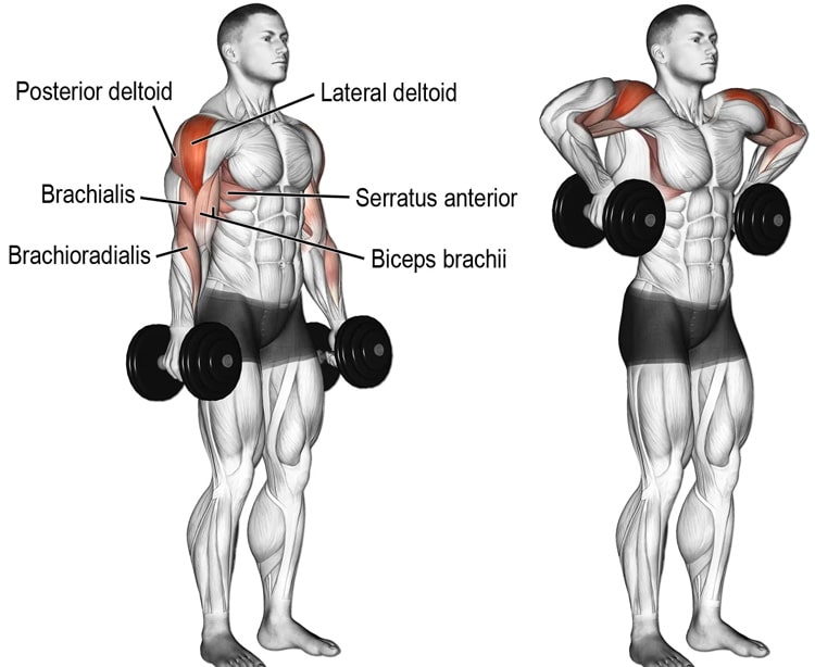 Monkey Rows