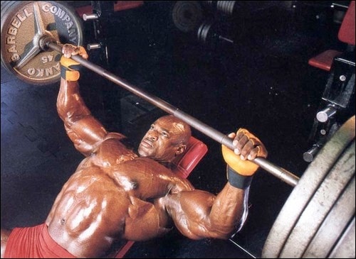 Paused Bench Presses