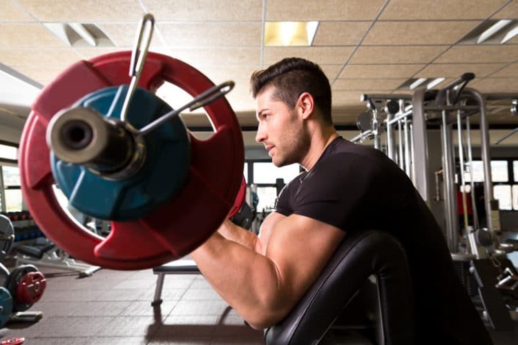 Preacher Curls