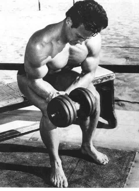 Steve Reeves