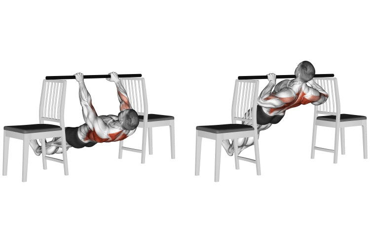 Inverted Rows