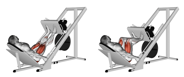 Leg Press Machine